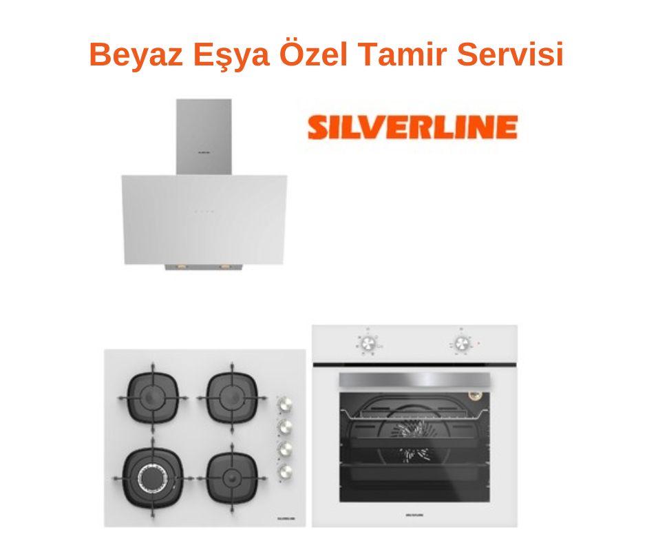 eskişehir silverline servisi