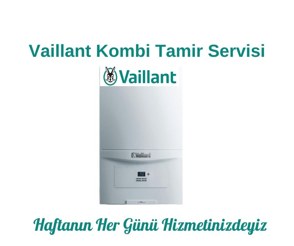 Eskişehir Vaillant Kombi Servisi