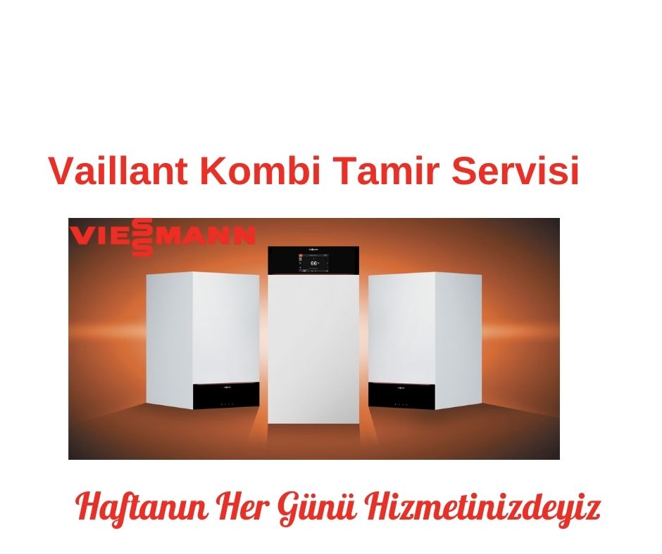 Eskişehir Viessmann Kombi Servisi