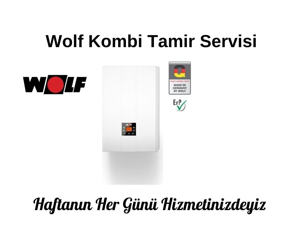 Eskişehir Wolf Kombi Servisi